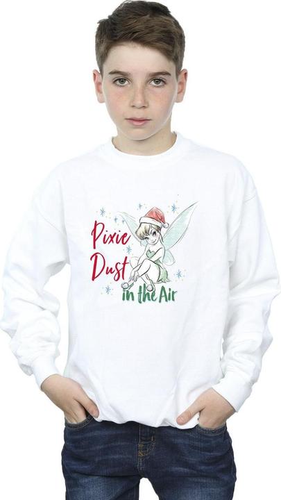Actual product image Disney Boys Tinker Bell Pixie Dust Sweatshirt (152, 158)