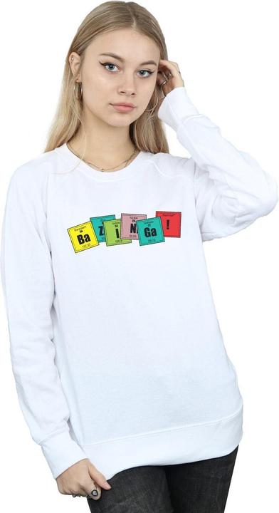 Actual product image Dam Womens/Ladies Bazinga Elements Sweatshirt (XL)