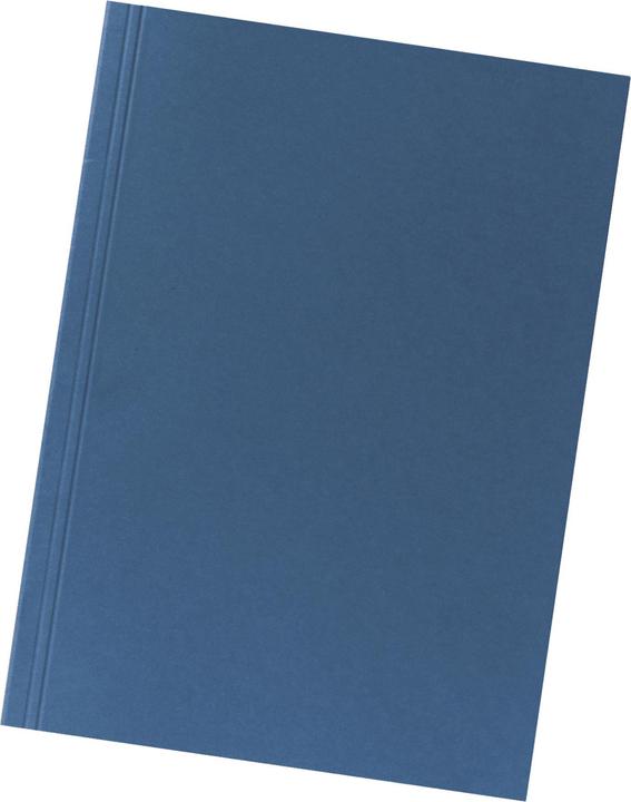 Actual product image Falken File collector (A4, 1 x)