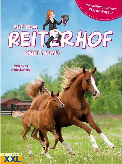Actual product image Auf dem Reiterhof geht's rund - mit grossem, farbigem Pferde-Poster (German, 2022)