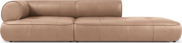Dark Beige