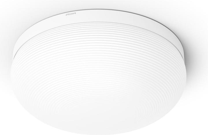Philips Hue Flourish Basis BT (2400 lm)