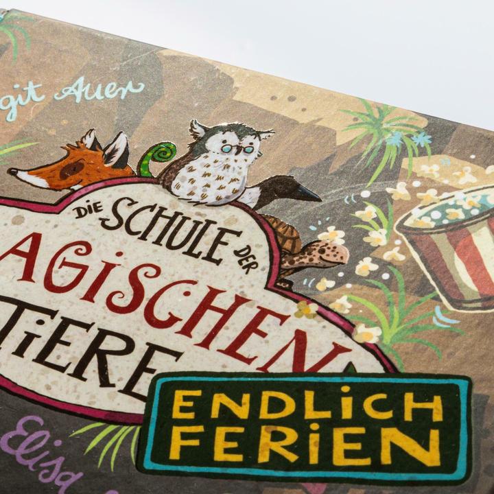 Image du produit Die Schule der magischen Tiere. Endlich Ferien 9: Elisa und Silber (Allemand, Igor Dolinger, Nina Dulleck, Margit Auer, 2024)