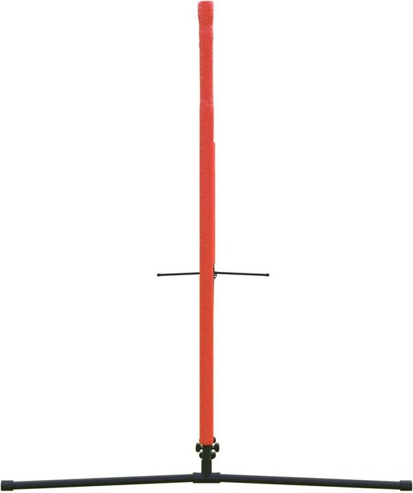 Actual product image VidaXL Goldi