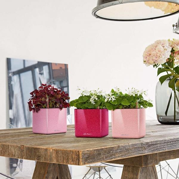 Image du produit Lechuza Cube Glossy 14 (14 cm)