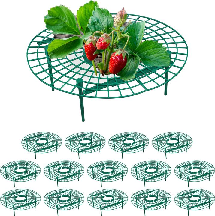 Immagine prodotto Relaxdays 15x maturatori di fragole (30 cm, 30 cm)