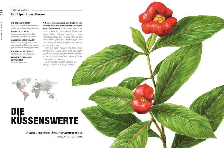 Actual product image Kuriose Pflanzen (German, Michael Perry, Reinhard Ferstl, DK Publishing House, 2023)