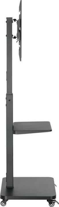 Image du produit Xantron TV Ständer universal (Universel, 75", 40 kg)