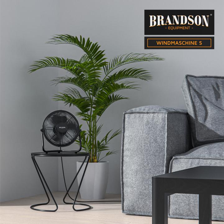 Immagine prodotto Brandson Macchina del vento 23,5 cm Ø, ventilatore da pavimento, metallo, testa del ventilatore inclinabile (55 dB)