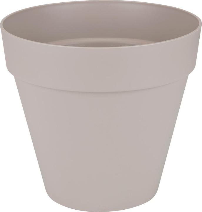 Gris chaud