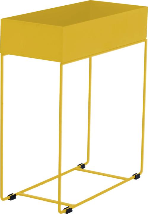 Actual product image Giardimo LAB Stanley (25 cm)