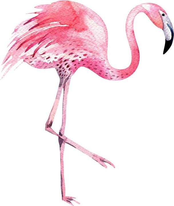 Image du produit Trenddeko Kristina Kvilis - Flamingo 02 (69 x 80 cm)
