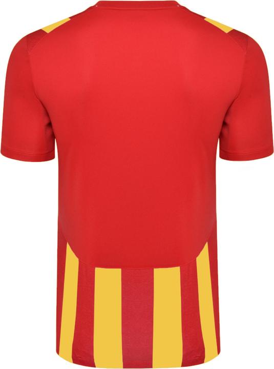 Actual product image Umbro Ramone Jersey (XL)
