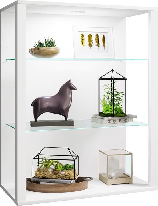 Produktbild VCM Holz Glas Stand Vitrine Glasol LW (90 x 70 x 35 cm)