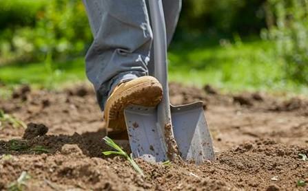 Actual product image Gardena Ergo Line ladies' spade