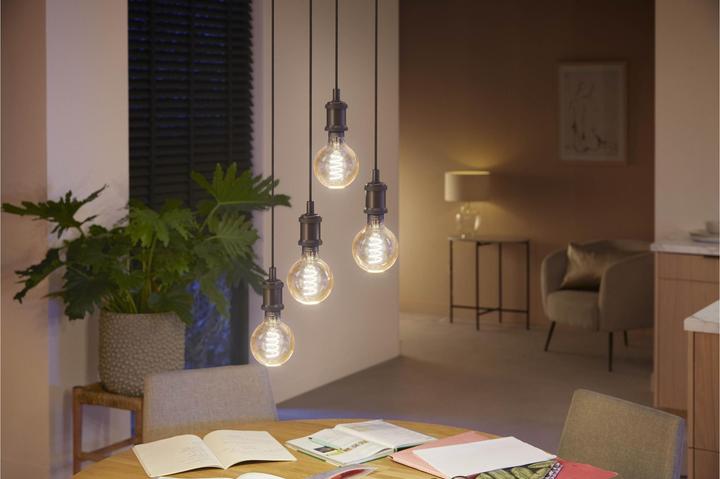 Actual product image Philips Hue Philips Globe G93 Filament (E27, 7 W, 550 lm, 1 x, G)