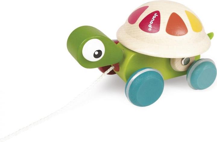 Actual product image Janod Zigolo turtle