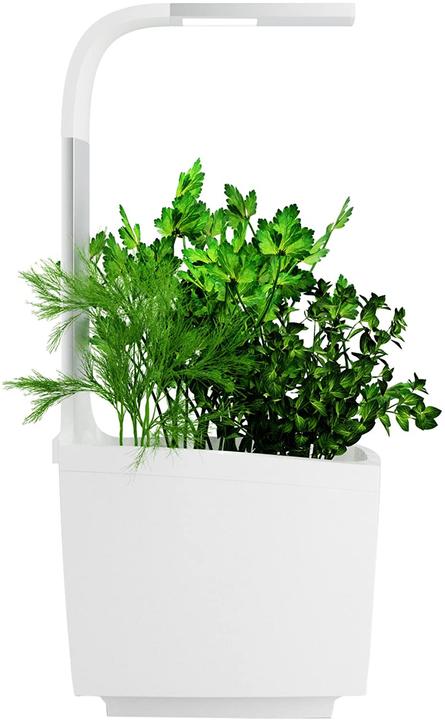 Produktbild Tregren Kräutertopf T3 (19.50 cm)