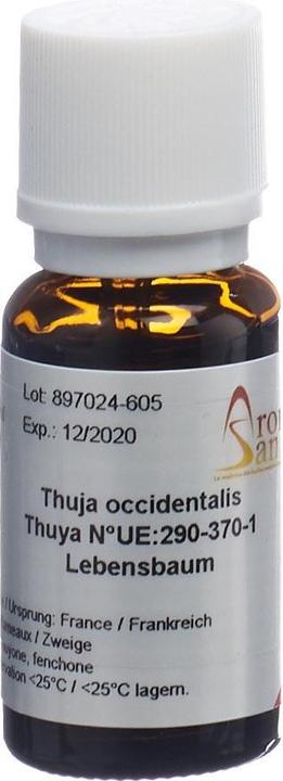 Immagine prodotto AromaSan Olio essenziale dell'albero della vita (15ml)