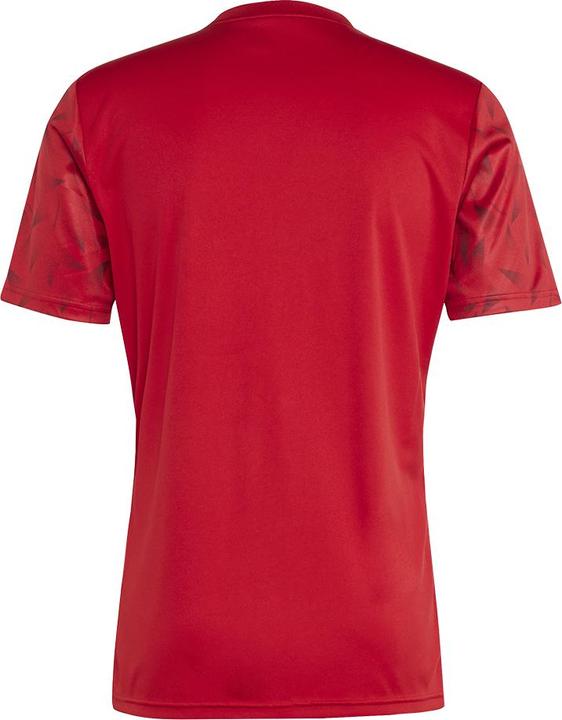Image du produit adidas Maillot Team Icon 25 (XS)