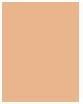 Image du produit Bourjois Healthy Mix Clean & Vegan BB Cream (0.5 Ivory chaud)