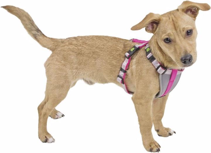 Actual product image Kerbl Harness for small dogs (XS, Dog, General)
