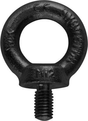 Produktbild Riggatec Eyebolt M8 | black | WLL 140kg - DIN 580 | schwarz verzinkt