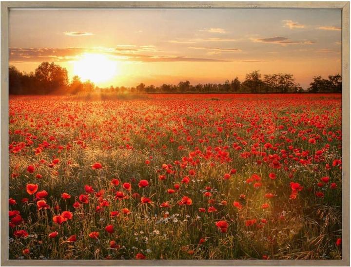 Image du produit Trenddeko Champ de coquelicots au coucher du soleil (50 x 60 cm)