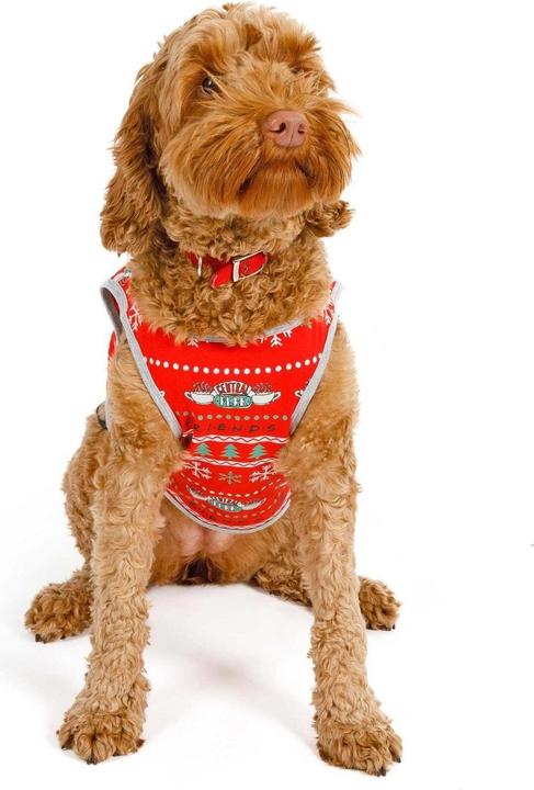 Actual product image Friends Dog pyjamas Central Perk Christmas design (XS, Dog coat)