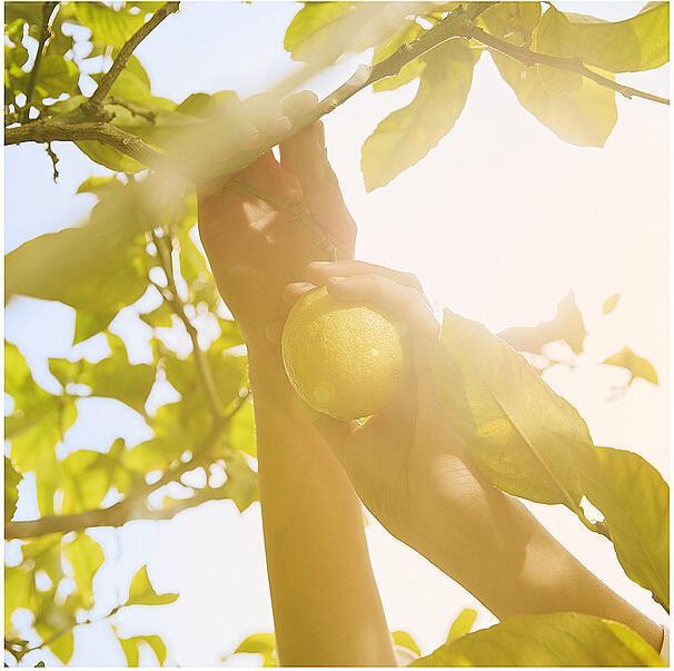 Image du produit Maison Martin Margiela Replica Sous les citronniers (Eau de toilette, 100 ml)
