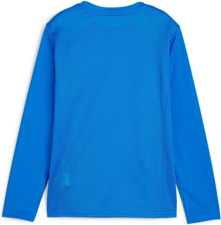 Actual product image Puma teamGOAL LS Jersey Jr (152)