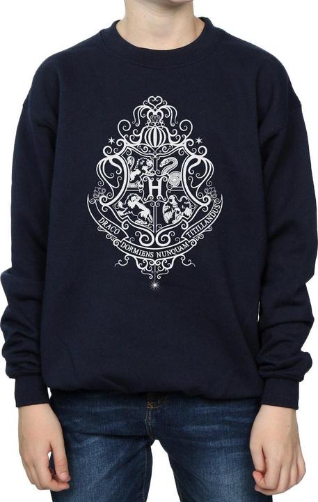 Actual product image Boys Hogwarts Draco Dormiens Crest Sweatshirt (140, 146)