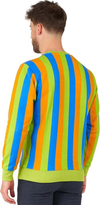 Actual product image OppoSuits – Sesamstrasse Bert Pullover (XXL)