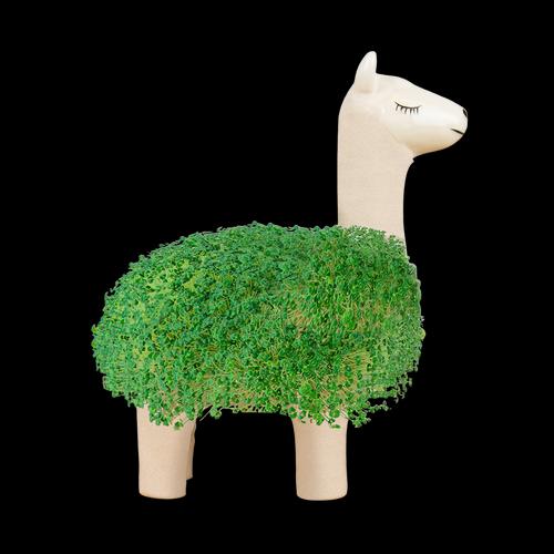 Gift Republic Lama végétal de chia