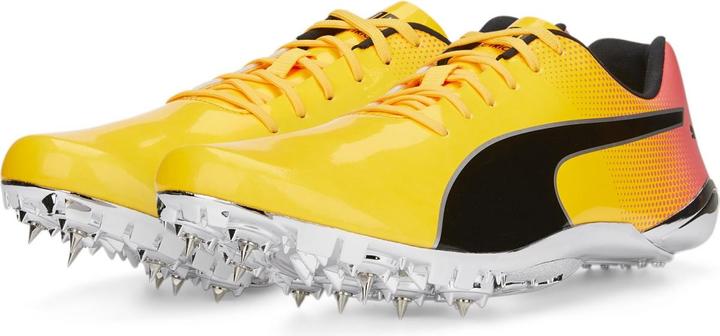 Actual product image Puma evoSPEED Electric 13 (43)