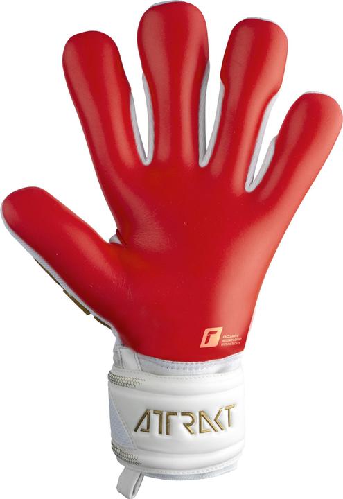 Immagine prodotto Reusch Attrazione Freegel Argento (5)
