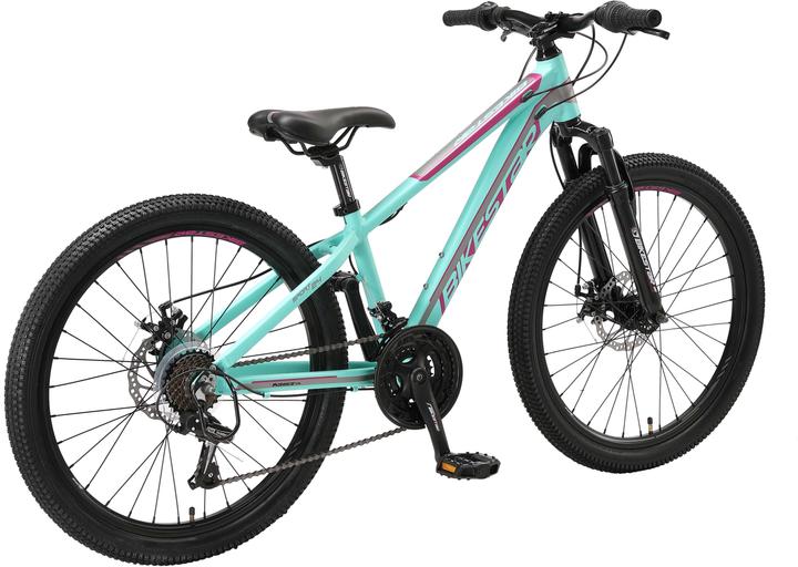 Bikestar Hardtail (32 cm)