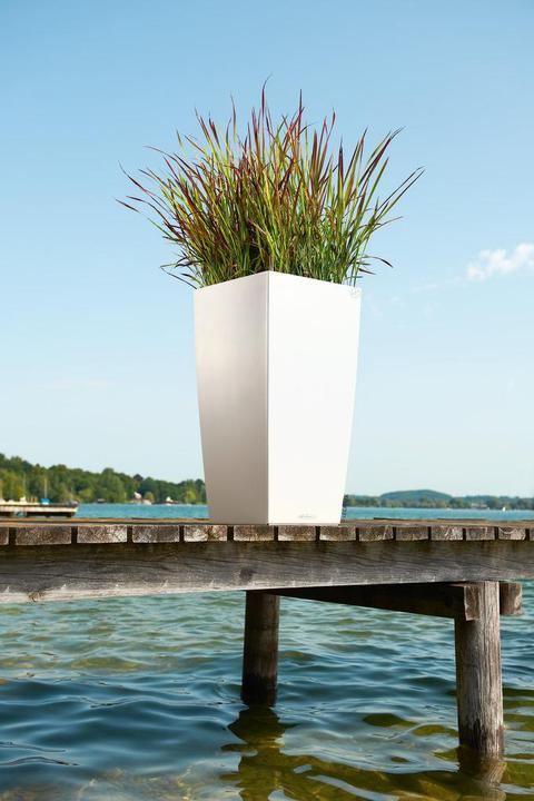 Immagine prodotto Lechuza Colore Cubico (22 cm)