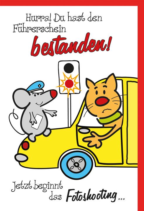 Immagine prodotto Braun + Company Umorismo da patente di guida (1 pz.)