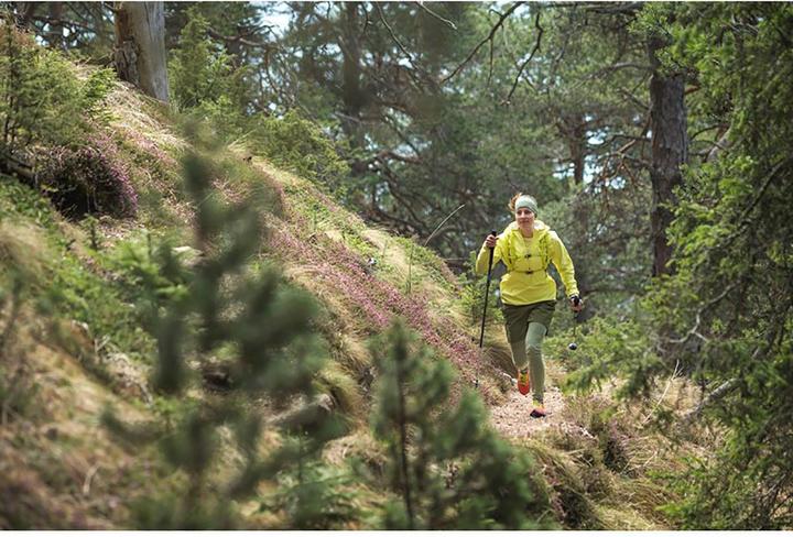 Image du produit Salewa Carbonium Alp Speed Poles (46 - 130 cm)