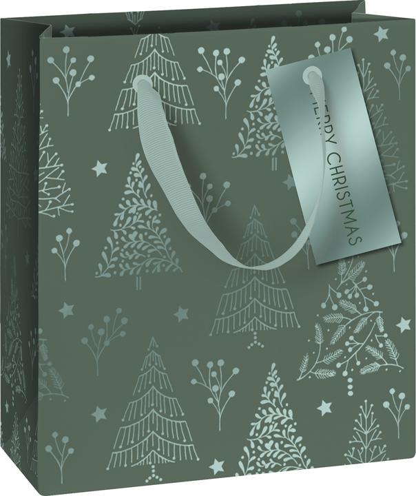 Actual product image Stewo Gift bag (Gift bag, 1 x)