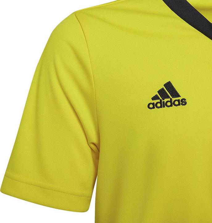 Actual product image adidas Entrada 22 Jersey (116)