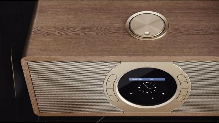 Immagine prodotto Sharp DR-I470(BR)PRO (FM, DAB, WiFi)