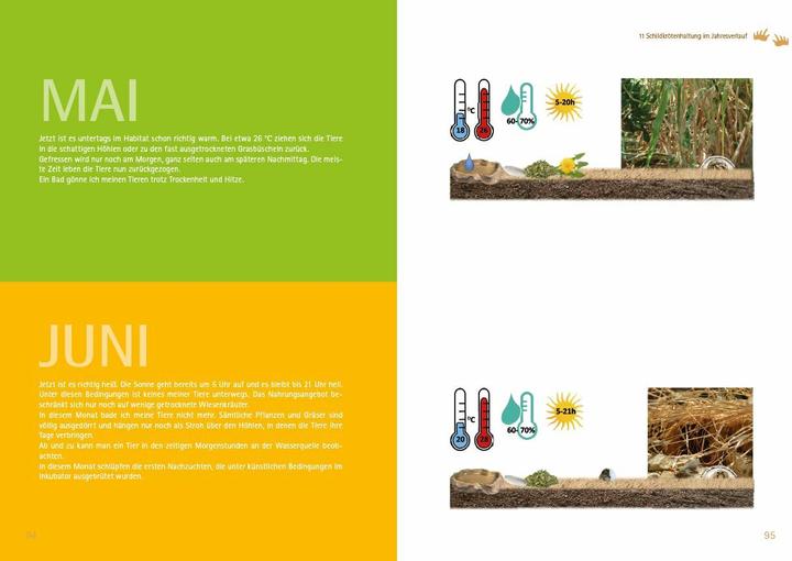 Productafbeelding Testudo kleinmanni (Duits, Christine Dworschak, 2018)