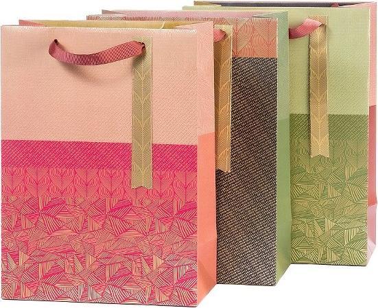 Produktbild Artebene Geschenksack Color Blocking 3er Set (Geschenktüte, 3 x)