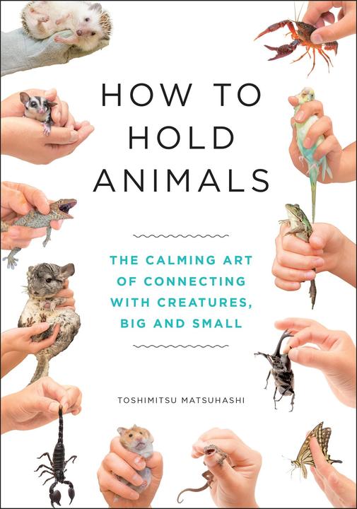 How to Hold Animals (Englisch, Toshimitsu Matsuhashi, 2020)