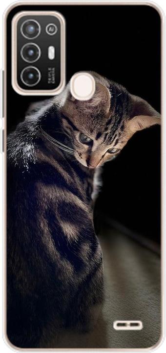 Junge Katze