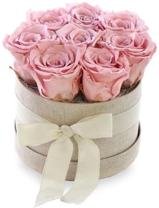 Soli Collection Trockenblumen Rosen 8 Stück, Rosa (Trockenblumen)