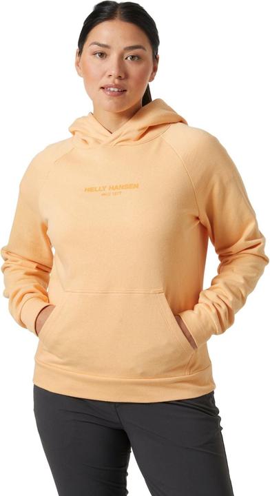 Actual product image Helly Hansen W Core Hoodie (L)