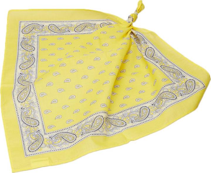 Image du produit F. Blumer & Cie Glarner Tüechli Classic, 50 x 50 cm, jaune
